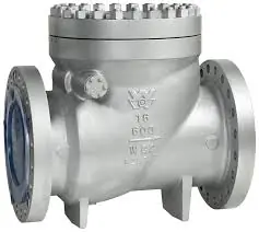 Check Valves